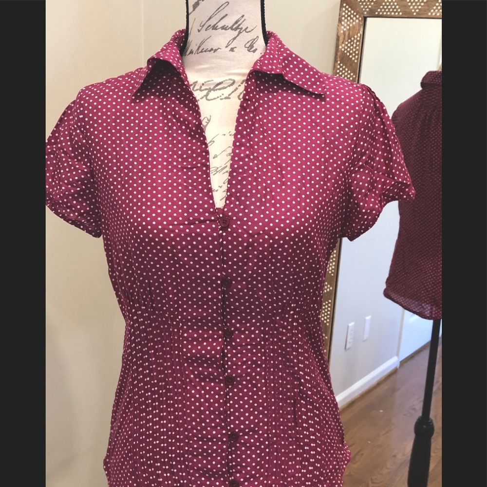The Limited Blouse